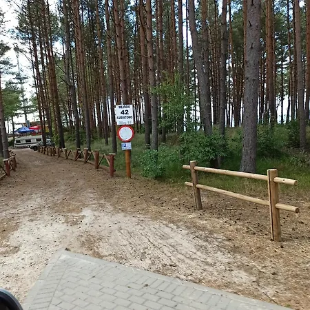 Baltyckie *